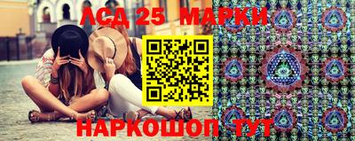 индика Гусь-Хрустальный