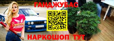 индика Гусь-Хрустальный