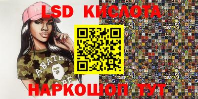 индика Гусь-Хрустальный